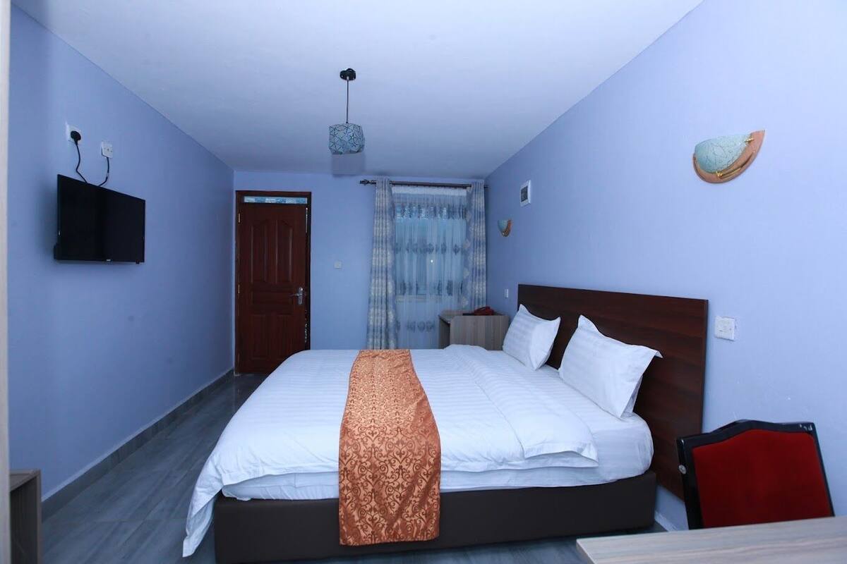 A bedroom with a bed, a TV mounted on the wall, a wooden door, and a window with curtains.