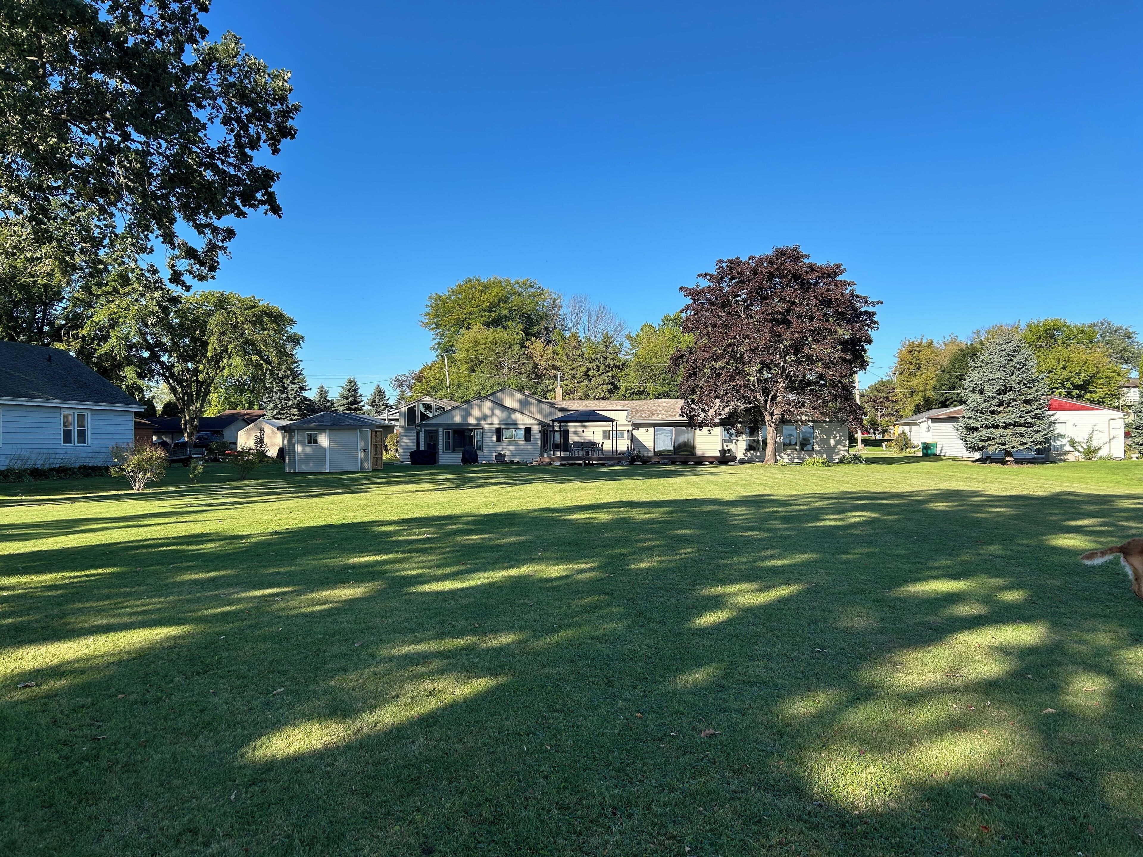 Un quartier résidentiel comprenant plusieurs maisons, une grande pelouse et des arbres.