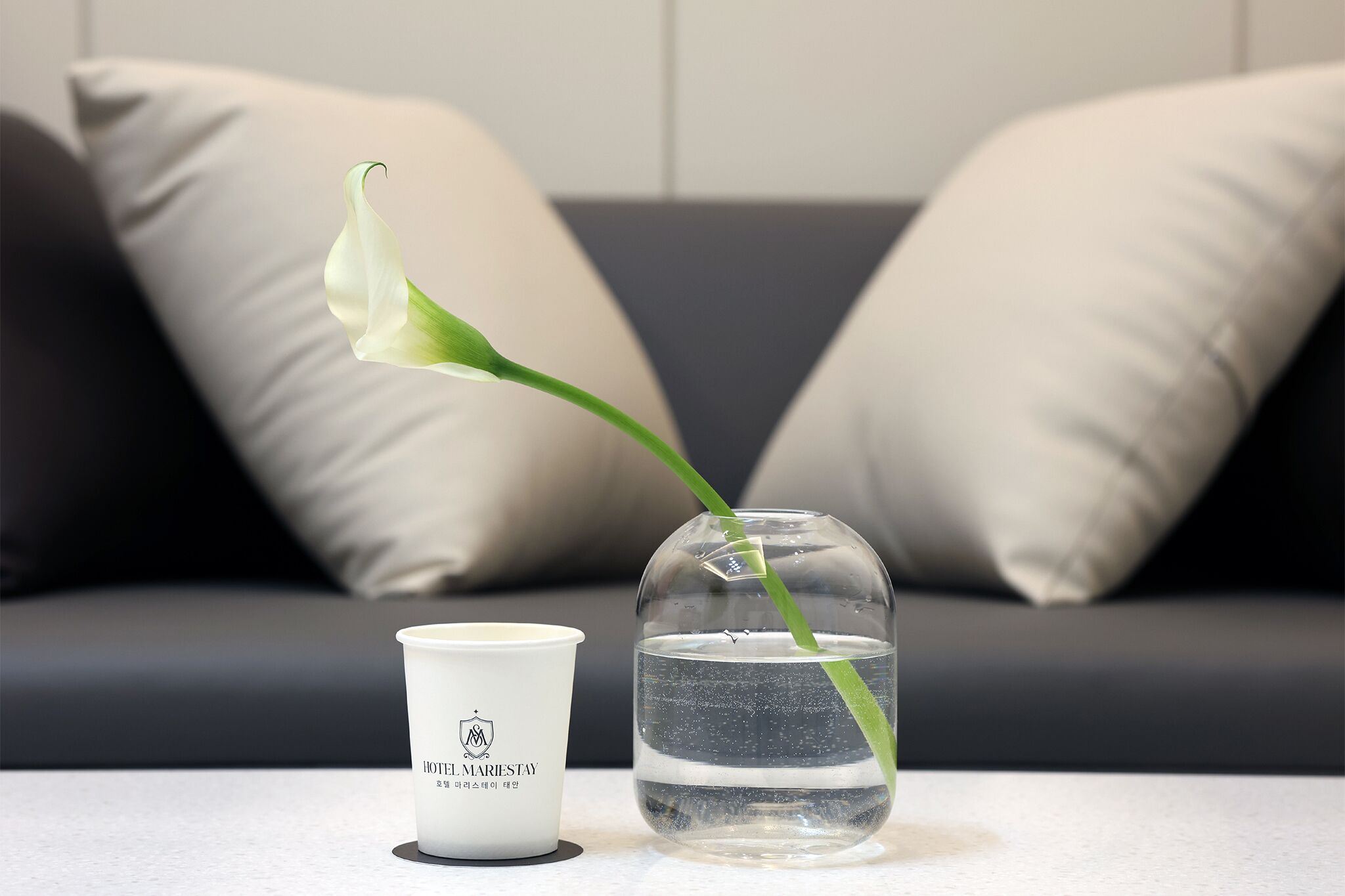 Una taza de cerámica blanca con un logotipo y texto, un florero de vidrio transparente con agua y una flor verde con tallo, y un sofá gris oscuro con cojines color beige.