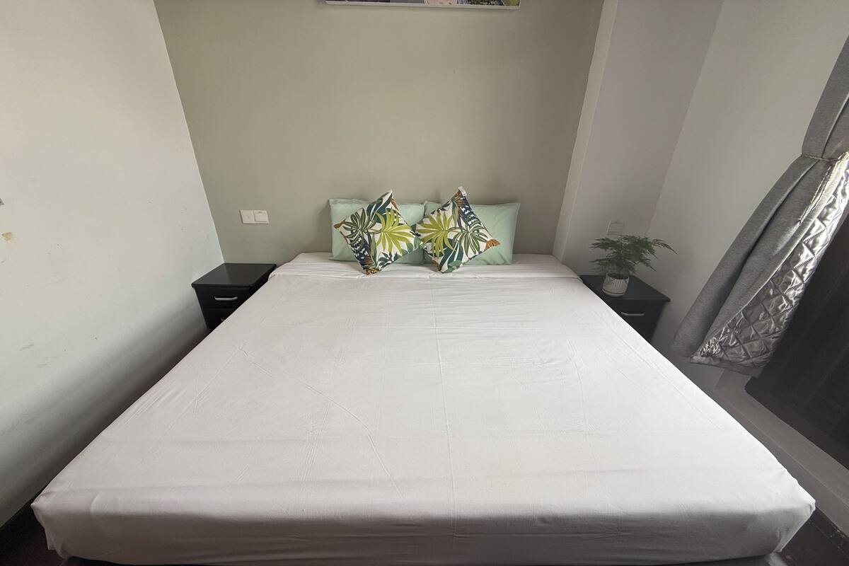 A neatly made bed with a white mattress and two decorative pillows with a tropical leaf pattern. There is a small nightstand with a lamp on the left and a potted plant on the right.