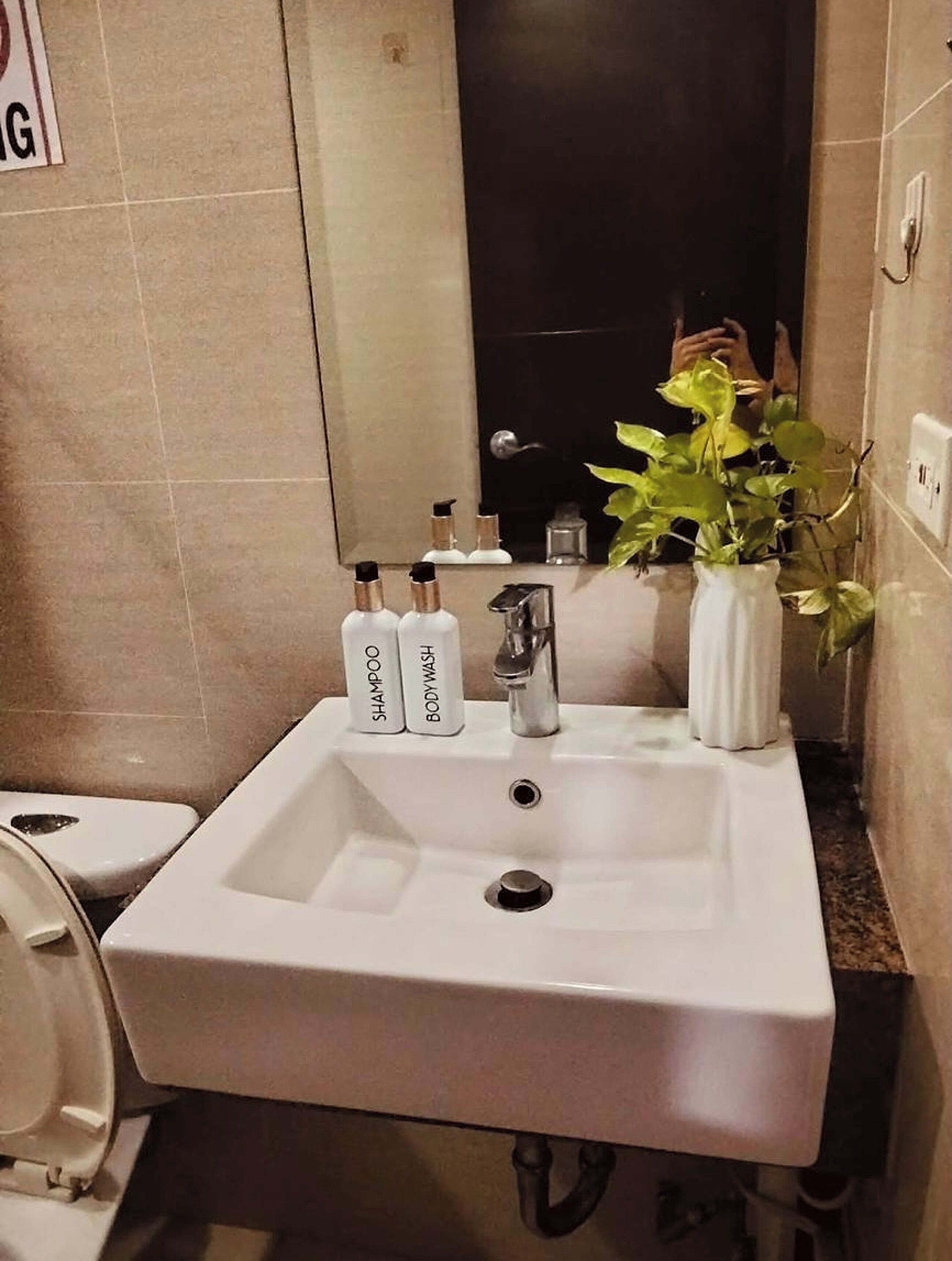 A bathroom with a white sink, two bottles labeled 'SHAMPOO' and 'BODYWASH,' a mirror, and a potted plant.