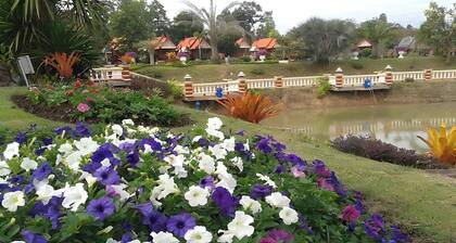 Naya Park View Hotel