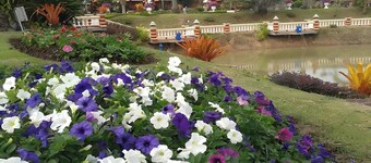 娜雅公園景觀飯店