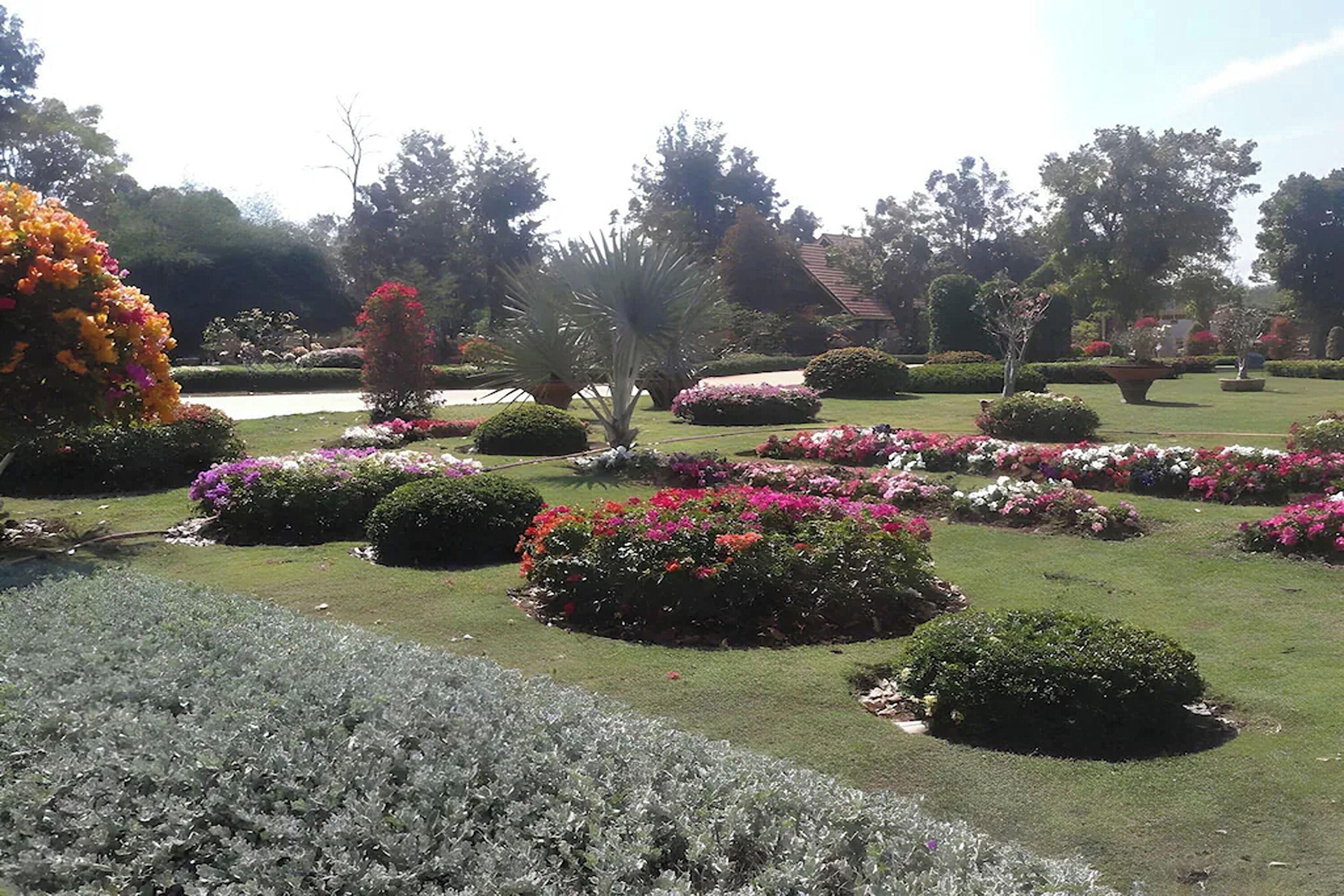 Ein gepflegter Garten mit verschiedenen Blumenbeeten und ordentlich geschnittenen Hecken.