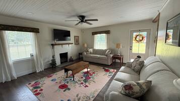 Télévision, cheminée, livres