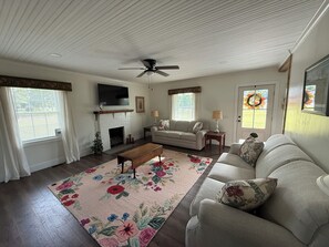 TV, fireplace, books