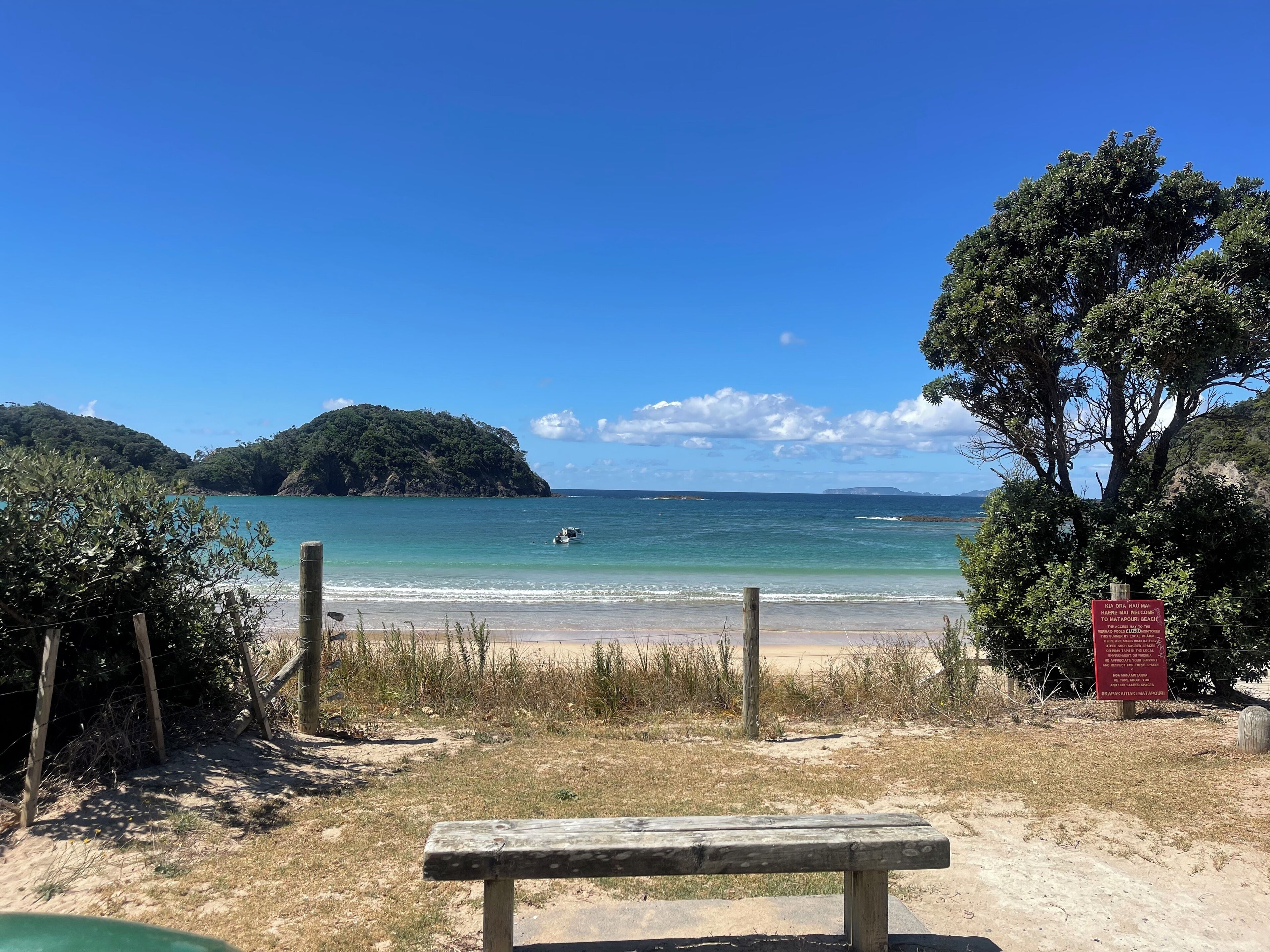 Camastros y toallas de playa 