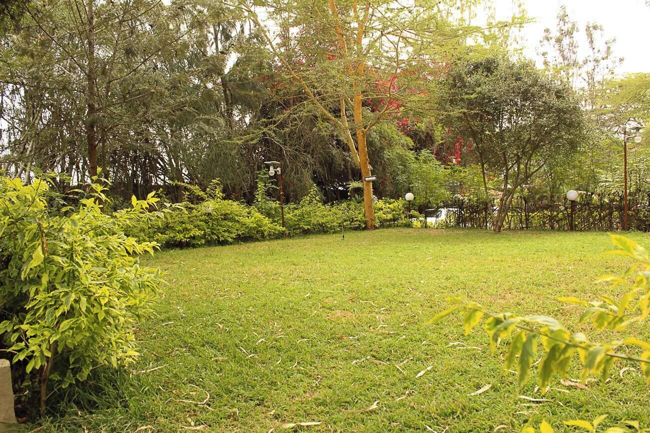 Un jardín exuberante con diversas especies de árboles y arbustos, un césped cuidado y un sendero que atraviesa la vegetación.