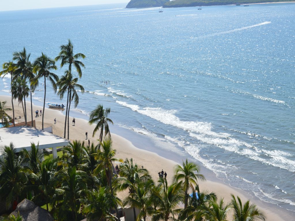 A beach with palm trees, a boat on the sand, and a clear view of the ocean.