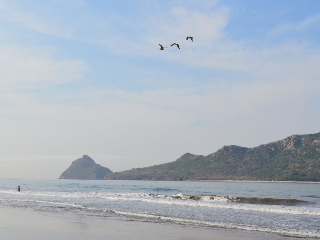 A beach with waves, a person walking, and birds flying.