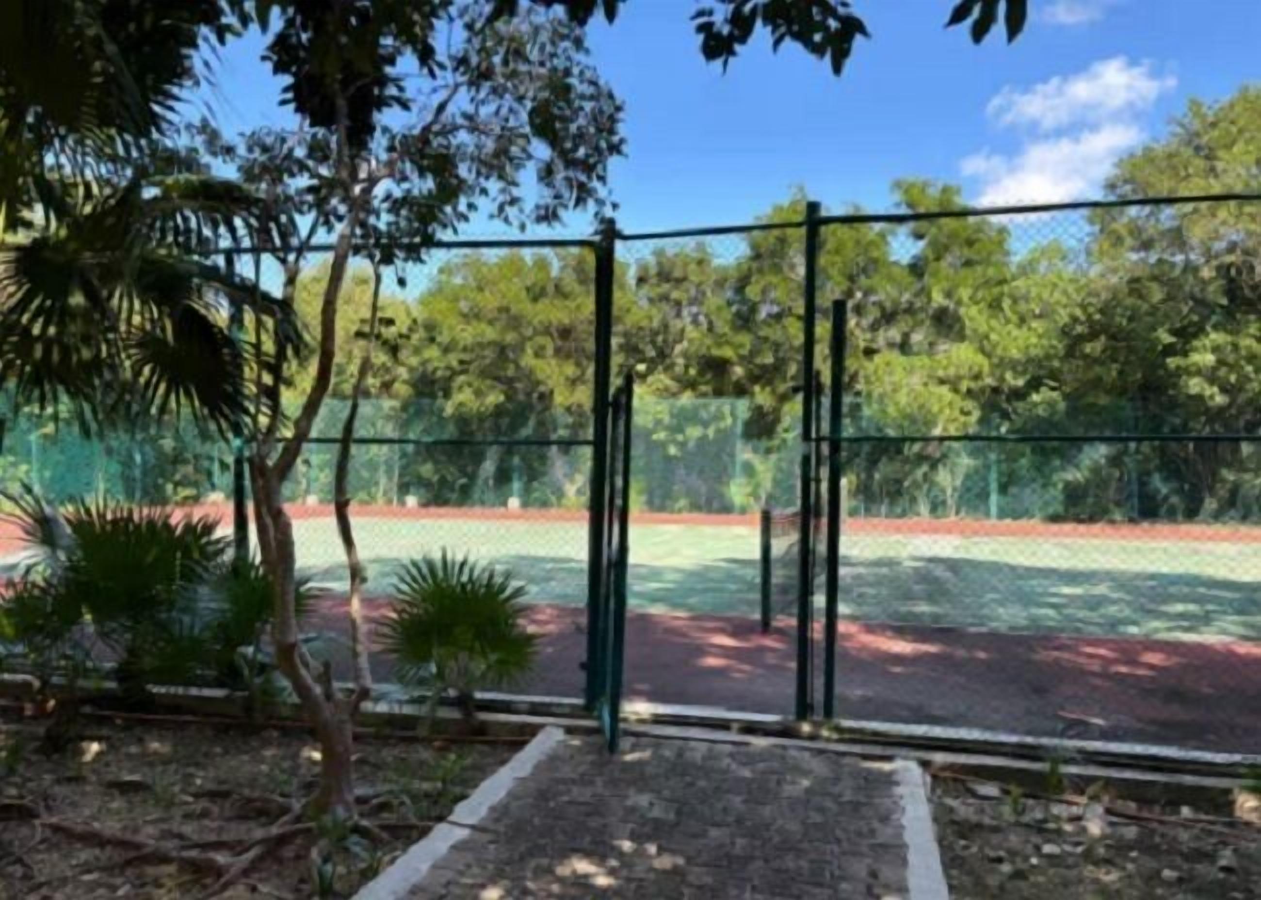 Una cancha de tenis con una valla, rodeada de árboles y plantas.