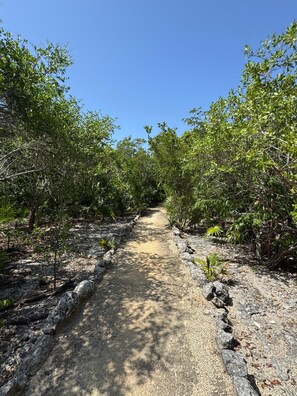 Hiking