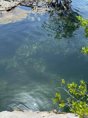 Lago
