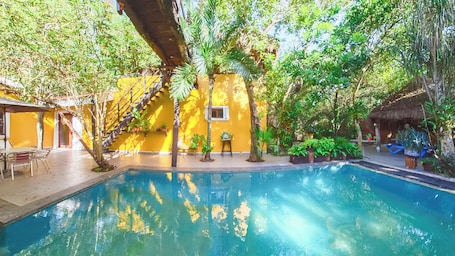 Una piscina al aire libre, sombrillas, sillones reclinables de piscina