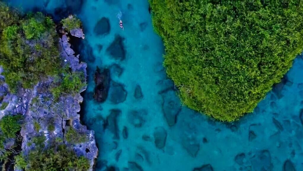 An aerial view of a coastal area with a rocky shoreline and a green island surrounded by clear blue waters.