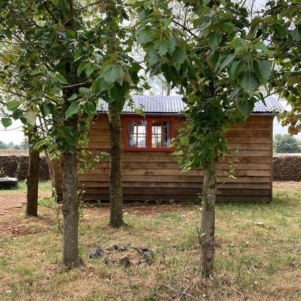 A wooden cabin with a red-framed window, surrounded by trees and a stone wall.
