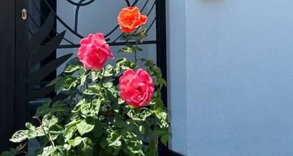 Chroma Deluxe King Studio by Eclectic 6