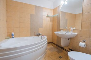 Hair dryer, towels, soap, toilet paper