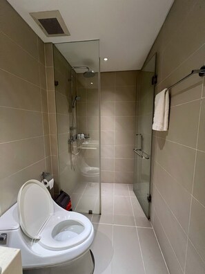 Hair dryer, towels, soap, toilet paper