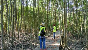 A pathway through a mangrove forest with two people wearing safety vests and helmets.