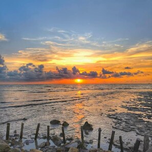Bicycling - Audi Guest House (George Town)