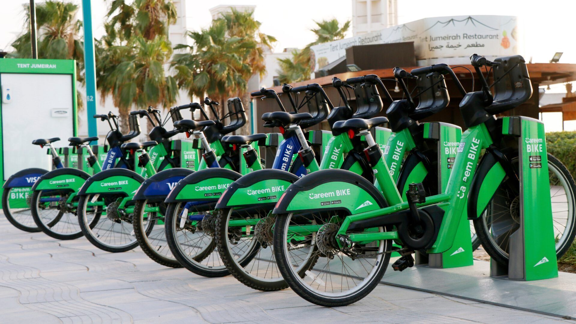 A row of Careem bikes parked in front of a building with palm trees and a sign in Arabic.