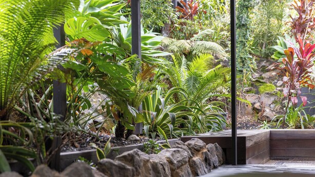 Un jardin intérieur luxuriant, avec différentes plantes et un sentier en pierre.