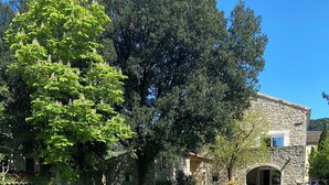 Un bâtiment en pierre avec un grand arbre devant, une cour verdoyante et un ciel bleu dégagé.