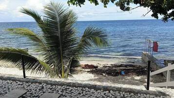 Beach/ocean view