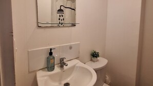 A bathroom with a white sink, a mirror, a toilet, and a showerhead.