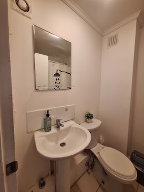 Hair dryer, towels, toilet paper