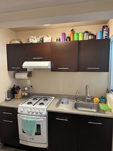 Acogedor departamento Jamaica