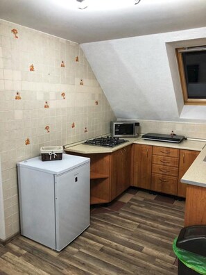 Microondas, horno, placa de cocina y lavavajillas