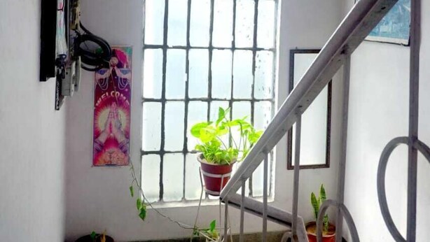 Un escalier avec une rampe en métal, une grande fenêtre en arc de cercle et plusieurs plantes en pot.