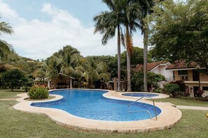 A swimming pool with a curved design, surrounded by palm trees and a grassy area.