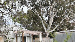 A rustic outdoor area with a wooden pergola, a pathway, and a sign for 'The Junction'. - Hamptons style, studio retreat with light continental breakfast included (Strathalbyn)
