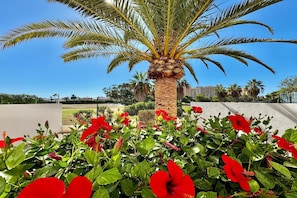 A palm tree with red flowers in the foreground, a clear blue sky, and a cityscape in the background. - Apartment near Playa Serena & Golf Club (Roquetas de Mar)