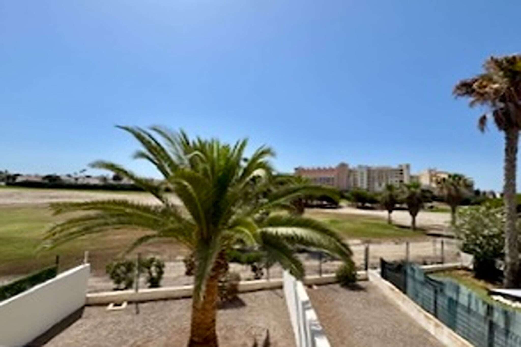 Vista de un hotel con una palmera en primer plano, un estacionamiento y un edificio al fondo.