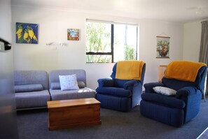 TV, fireplace, DVD player