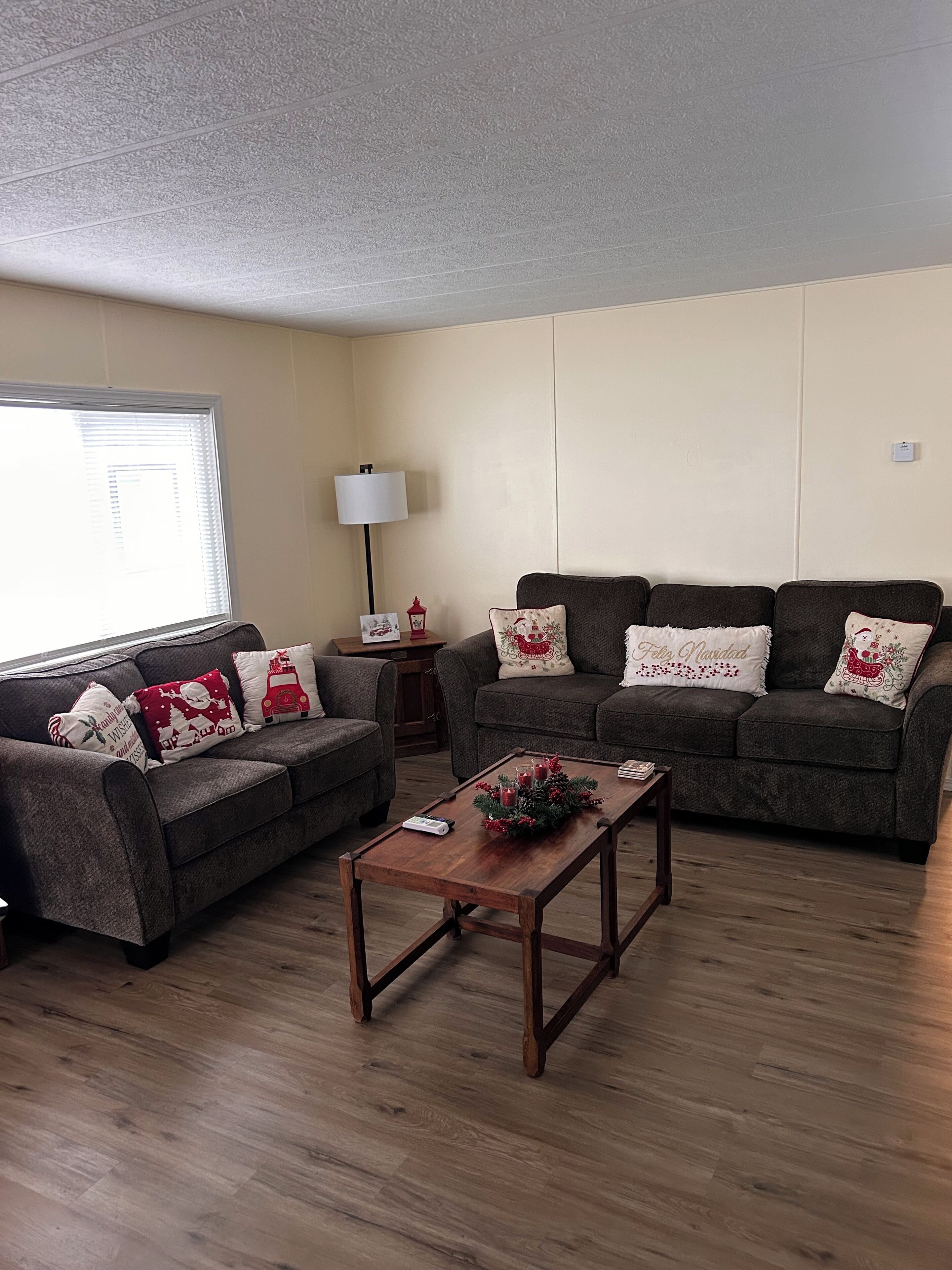 Televisor intel·ligent, llar de foc i reproductor de DVD 