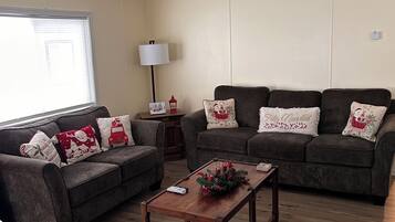 TV connectée, cheminée, lecteur de DVD