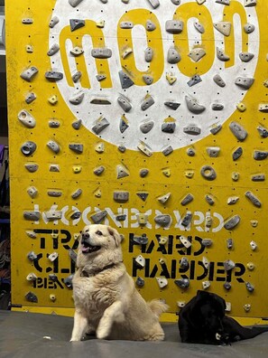 Rock climbing wall - indoor