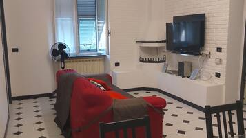 TV, fireplace, books