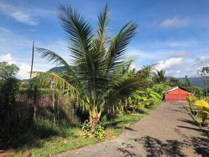 Área da propriedade