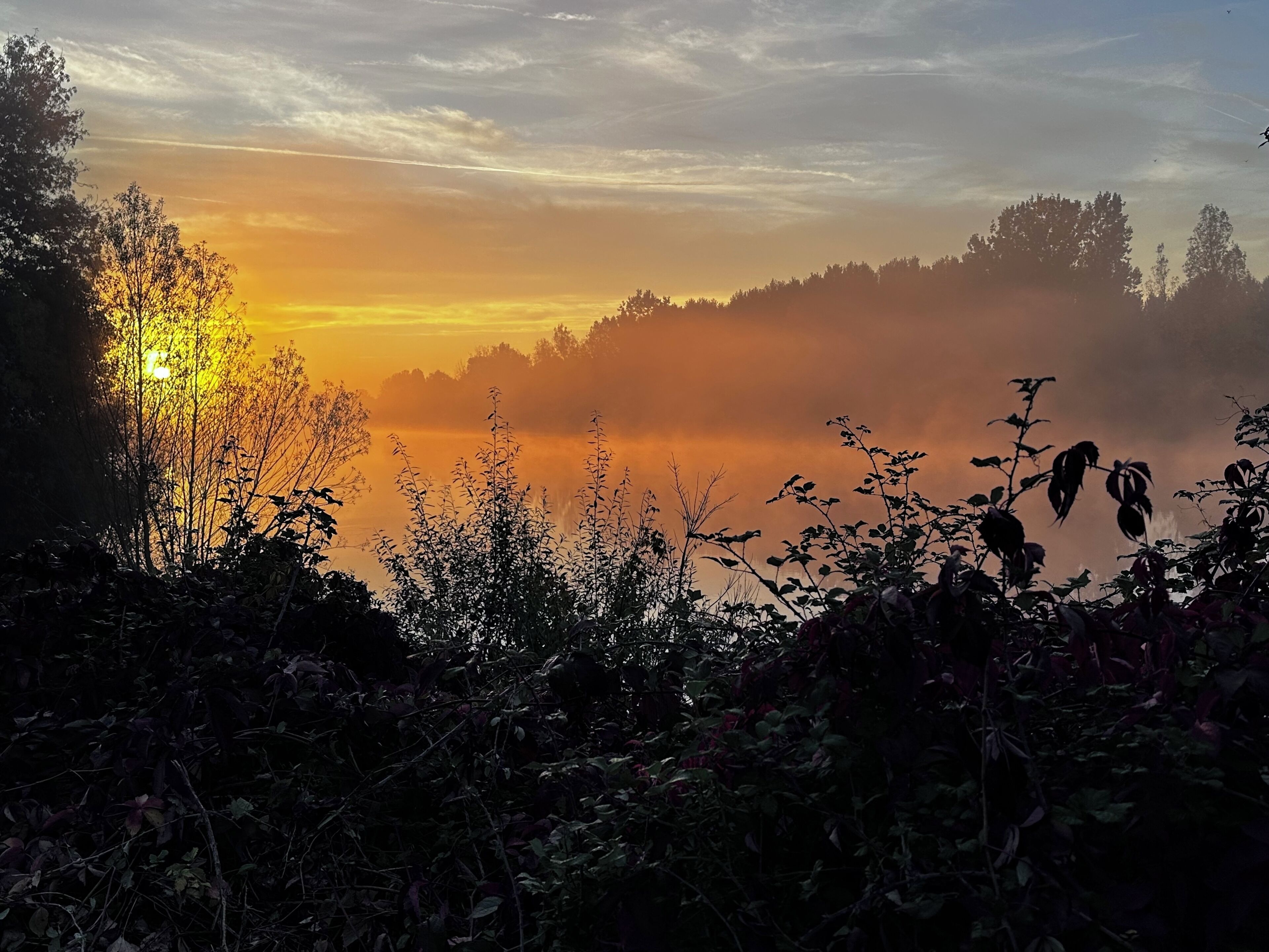 Een zonsopgang boven een mistig landschap met bomen en begroeiing op de voorgrond.