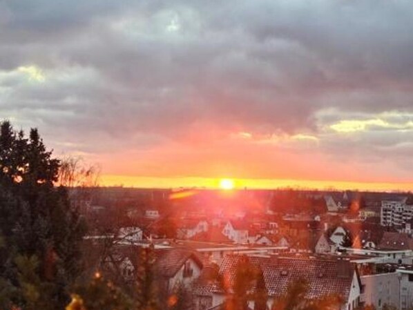 Miscellaneous - Haus Weinstraße - apartment/apartment, bathroom, WC, living room/bedroom (Bad Bergzabern)