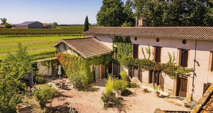Duplex des Vignes - Montans - Nature