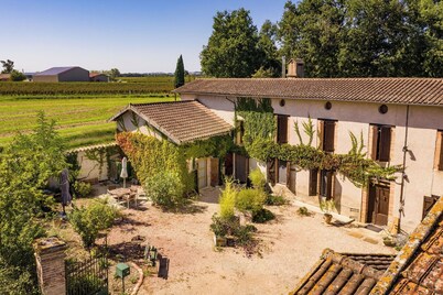 Duplex des Vignes - Montans - Nature