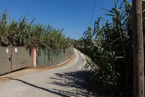 Immagine non classificata, 3 di 17, pulsante