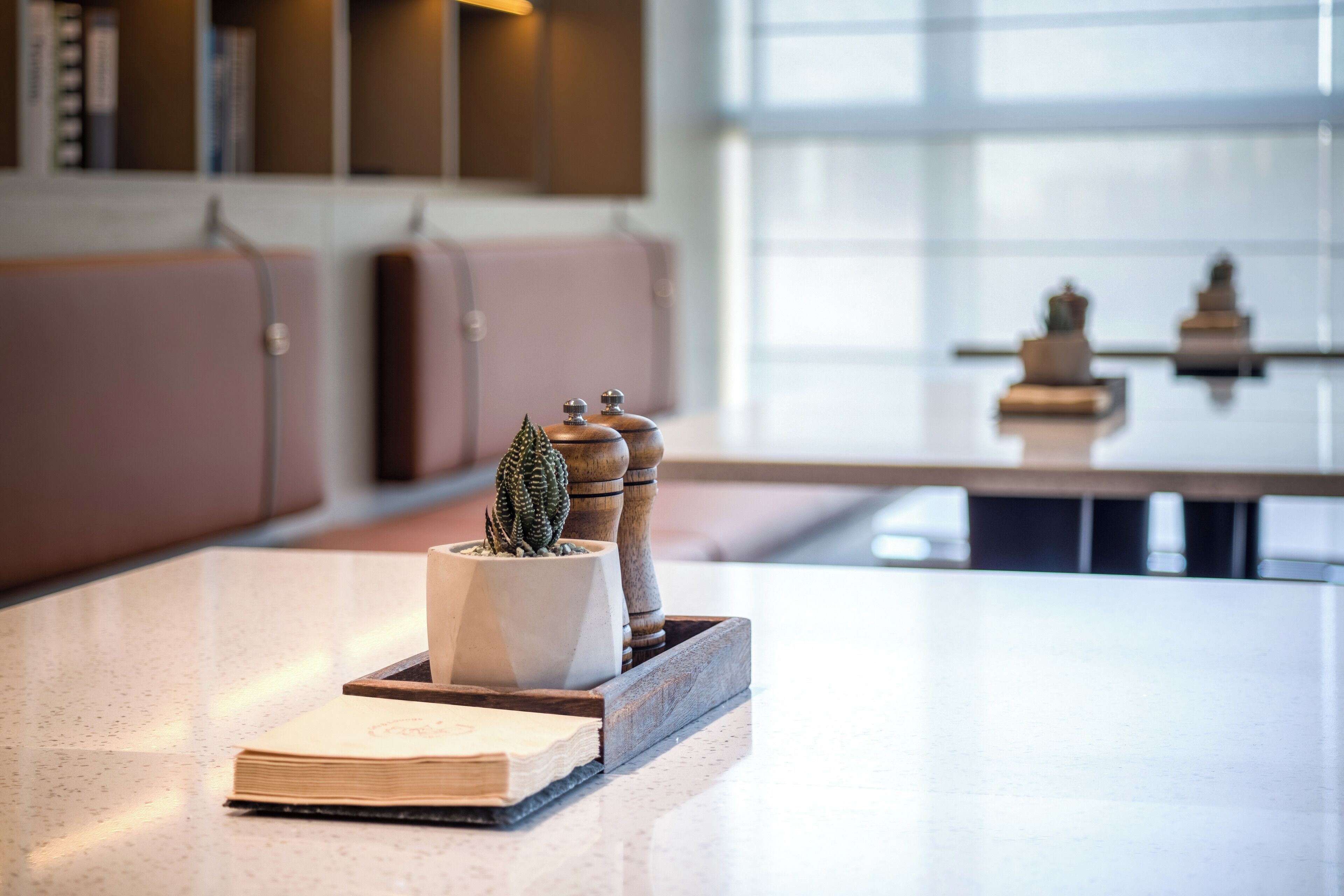 A kitchen counter with a potted cactus, a book, and a wooden spice rack.